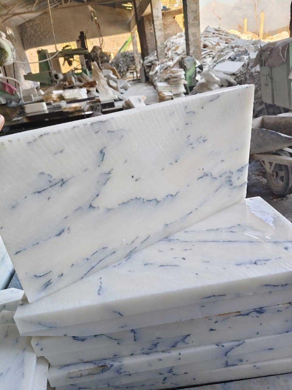 Blue-Veined White Marble